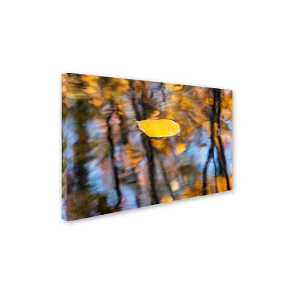 Michael Blanchette Photography 'Floater' Canvas Art,12x19